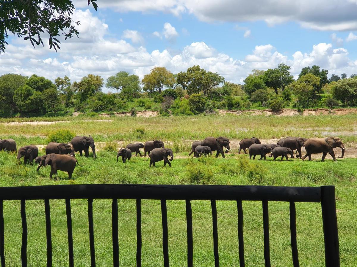 Umkumbe Safari Lodge Riverside Skukuza Bagian luar foto