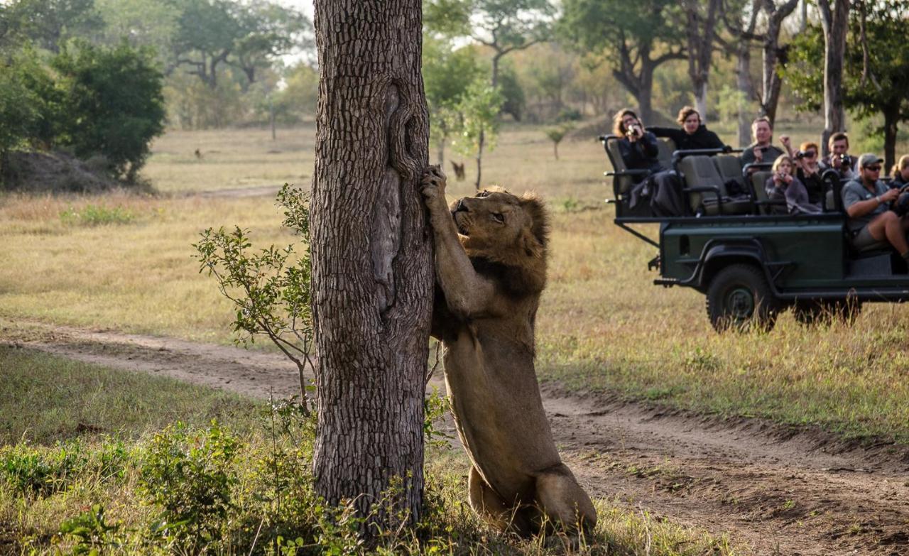 Umkumbe Safari Lodge Riverside Skukuza Bagian luar foto