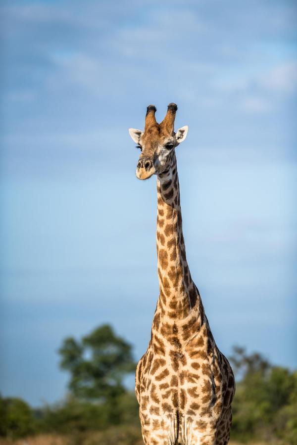 Umkumbe Safari Lodge Riverside Skukuza Bagian luar foto